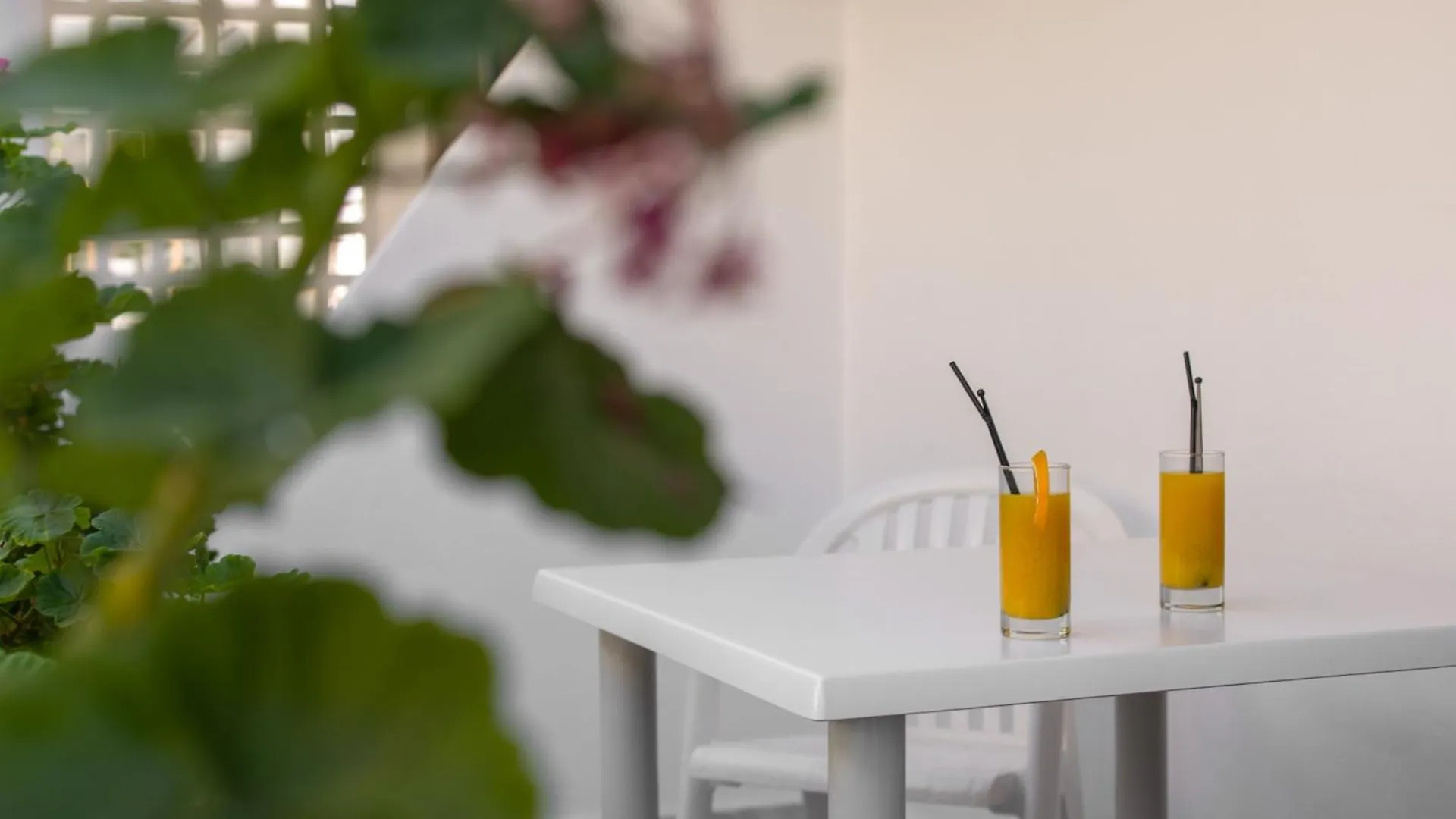 Ariadne Hotel Platanes  Aparthotel Platanes (Rethymno)