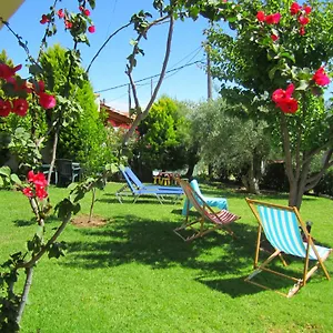 Summer House Apartament